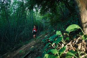 BIB: 
                            <button type="button" onclick="openModal(28124591)" class="btn btn-primary btn-sm float-right btn-popup" data-toggle="modal" data-target=".modal-high-quality">
                        <i class="fas fa-shopping-cart"></i> Add to Cart
                    </button>
                                            <button type="button" onclick="isThisMe(28124591, true)" class="btn btn-success btn-sm float-right btn-popup btn-isme hidden" data-toggle="tooltip" data-placement="bottom" title="นี่คือรูปของคุณใช่ไหม คลิกที่นี่เพื่อเอาเข้าอัลบั้ม">
                        <i class="fas fa-plus"></i> Add to album
                    </button>
                    <button type="button" onclick="isThisMe(28124591, false)" class="btn btn-warning btn-sm float-right btn-popup btn-isnotme hidden">
                        <i class="fas fa-ban"></i> Remove from album
                    </button>